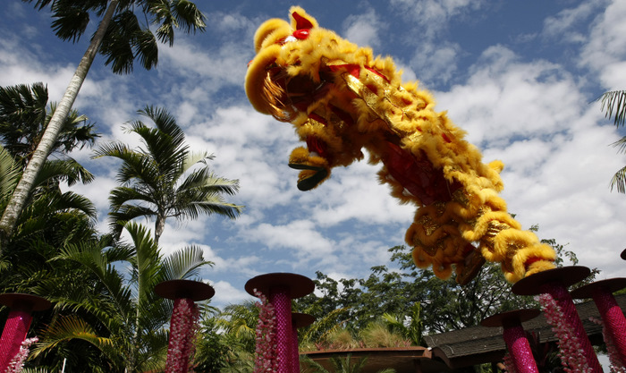 Jurong Bird Park - Lion Dance