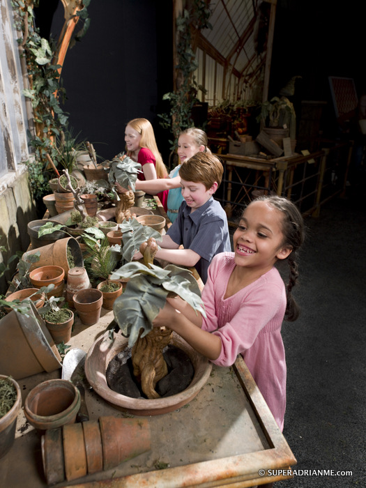 Harry Potter The Exhibition: Pull your own Mandrake in the Herbology vignette