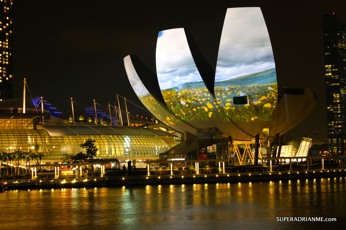 i Light Marina Bay 2012 - Garden of Light by Hexogon Solution