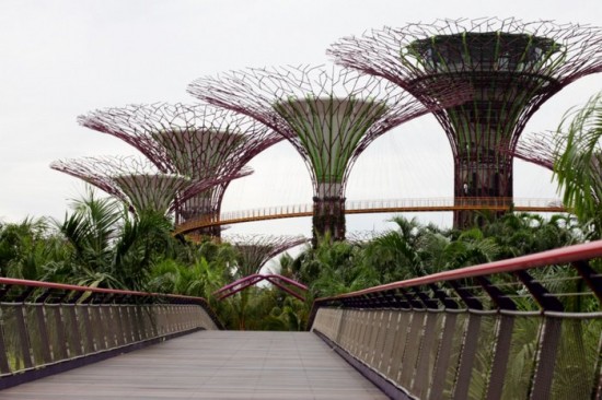 Gardens By The Bay Singapore SUPERTREES