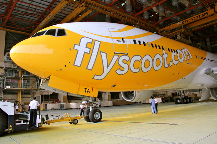 Scoot Livery