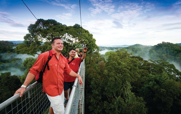 Brunei Canopy Walk