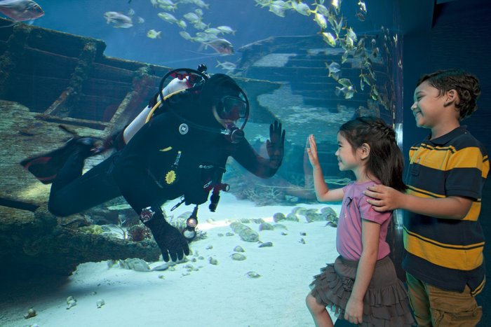 Resorts World Sentosa - Marine Life Park - S.E.A. Aquarium - Shipwreck