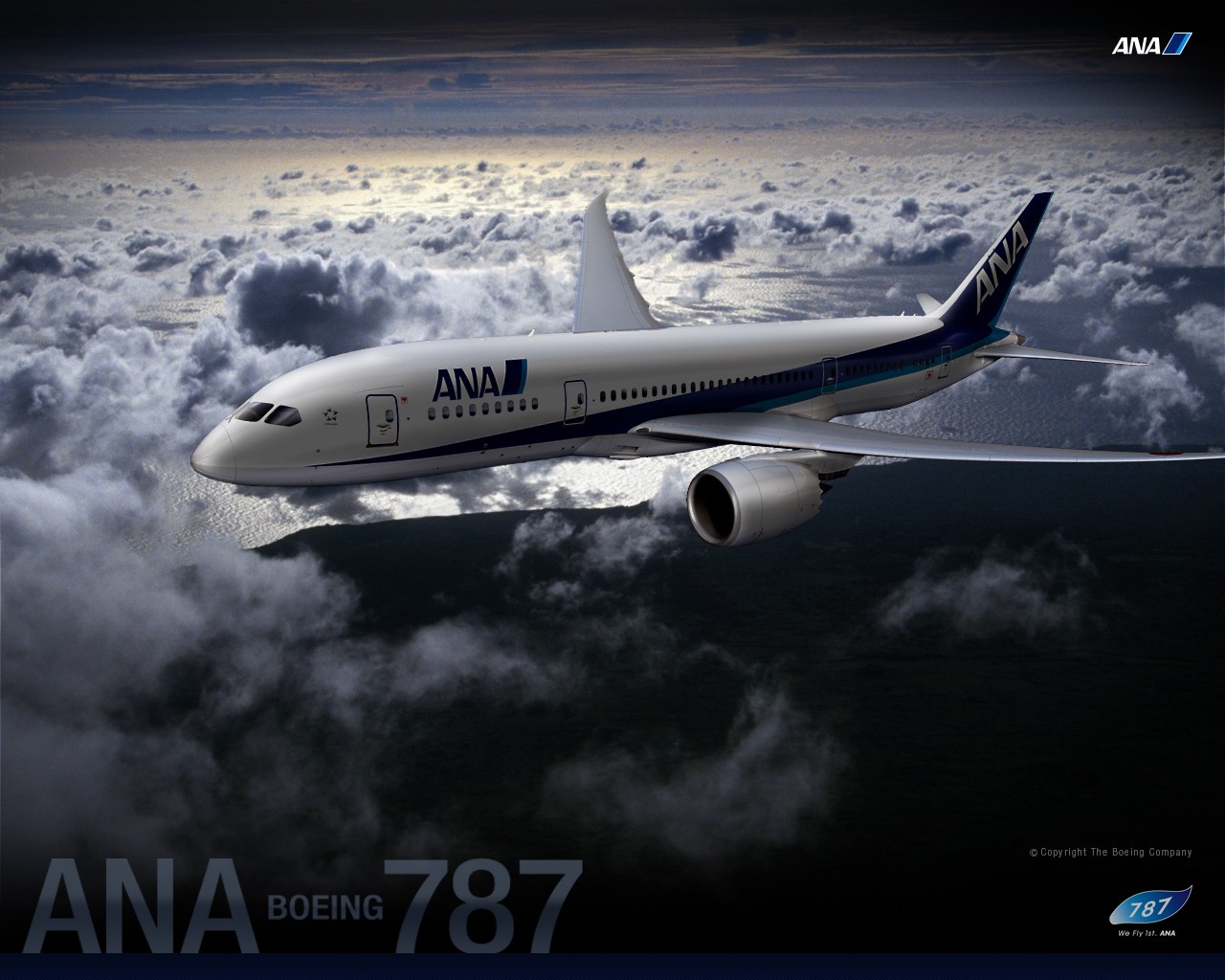 Airline - ANA - Dreamliner 2