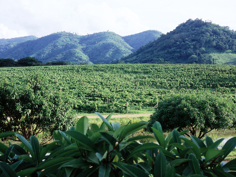 PB Valley Khao Yai