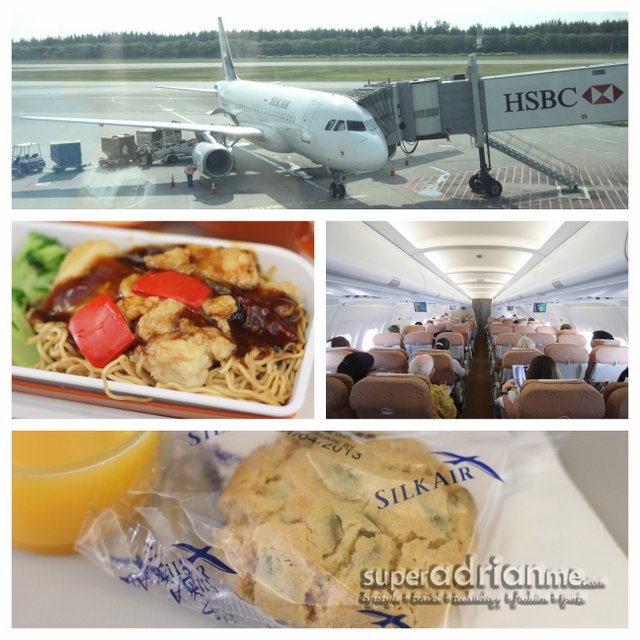 Inflight meal onboard Silkair was great - fish with noodles