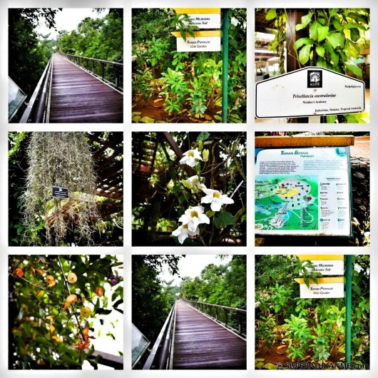 Taman Botani - Putrajaya Botanic Gardens