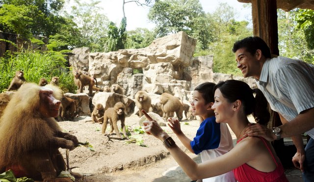 Singapore Zoo - Great Rift Valley