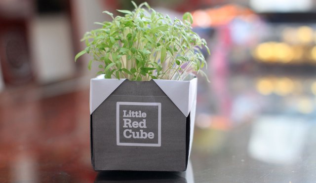 Little Red Cube Facebook Contest