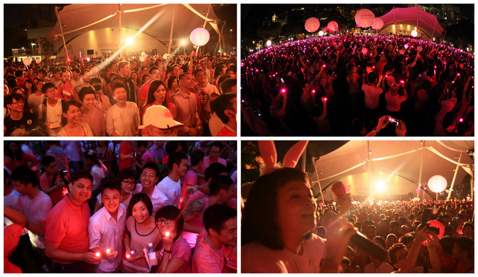 Crowd at Pink Dot 2013 (photo credit to Pink Dot SG)
