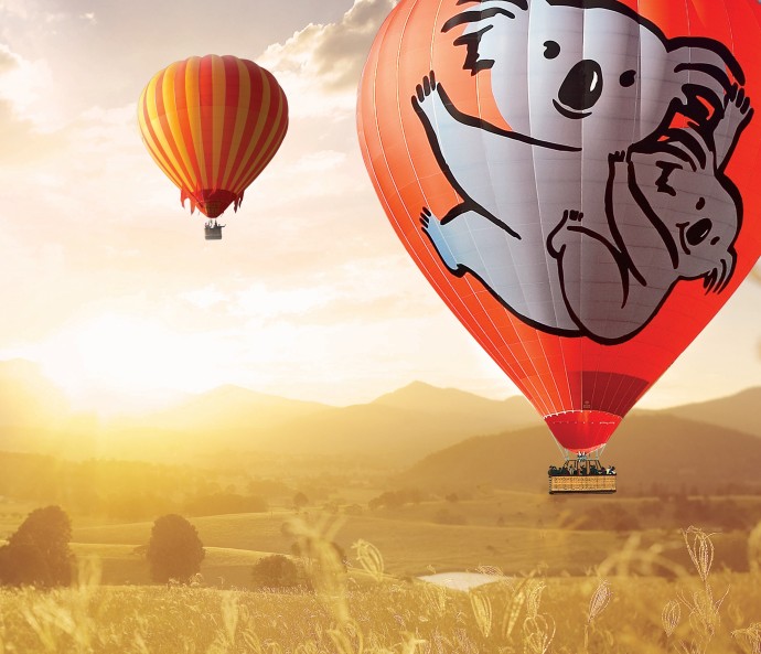Ballooning with Hot Air Goldcoast koala (resized)