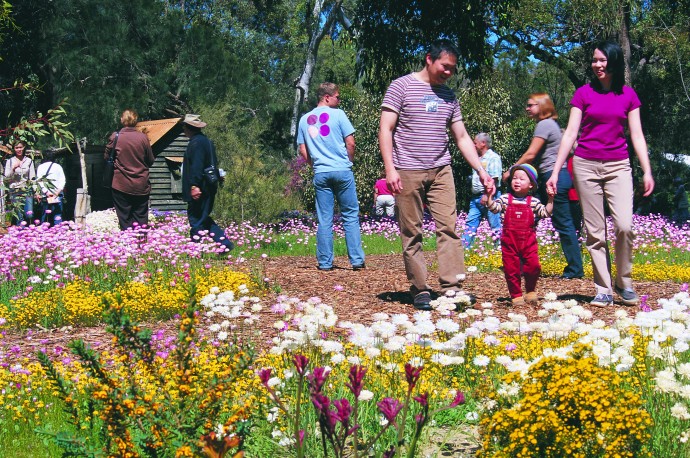 Kings Park Wildflower Festival 2003