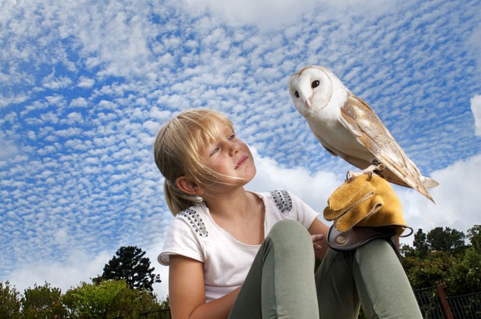 Gold Coast - Wildlife Encounter_1