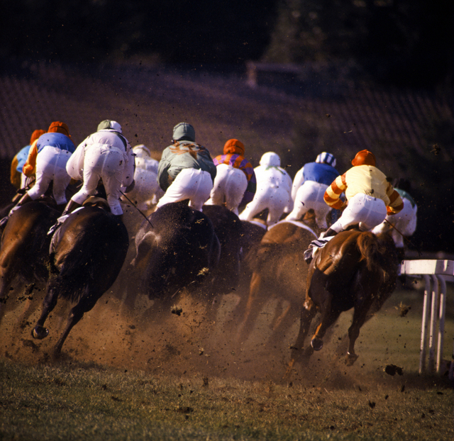 Shutterstock Image - Horse Racing