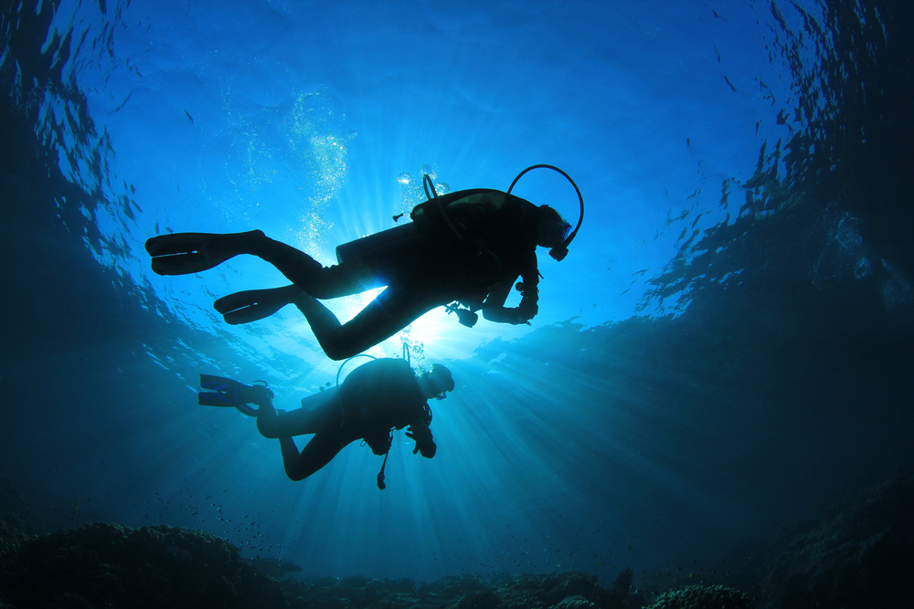 shutterstock DIVING