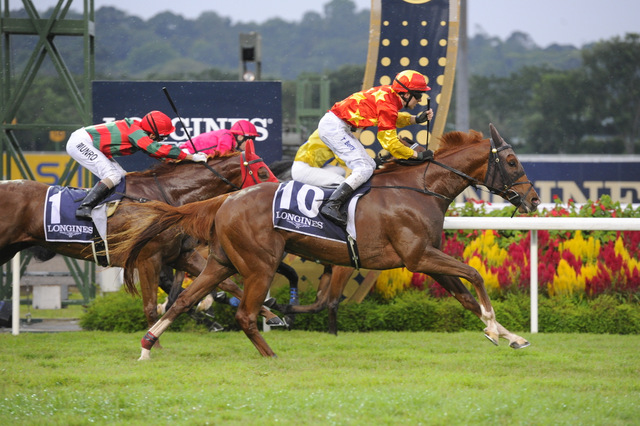 Longines Singapore Gold Cup 2013