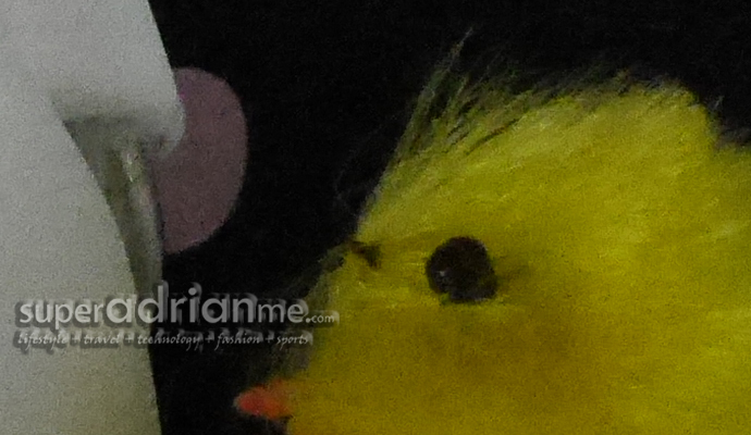 Panasonic LUMIX GM1 ISO 12800 Panasonic LUMIX GM1 ISO 12800