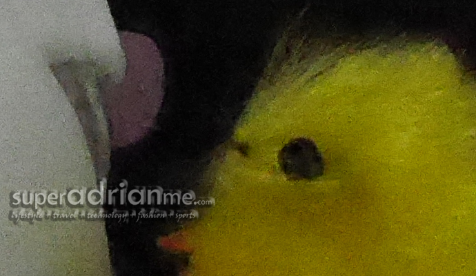 Panasonic LUMIX GM1 ISO 25600 Panasonic LUMIX GM1 ISO 25600