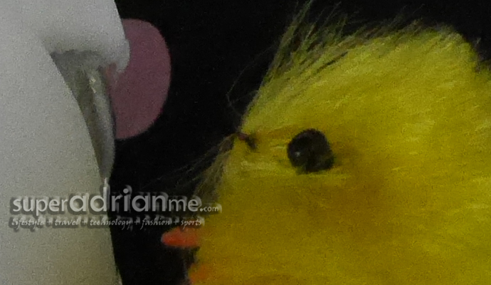 Panasonic LUMIX GM1 ISO 6400 Panasonic LUMIX GM1 ISO 6400