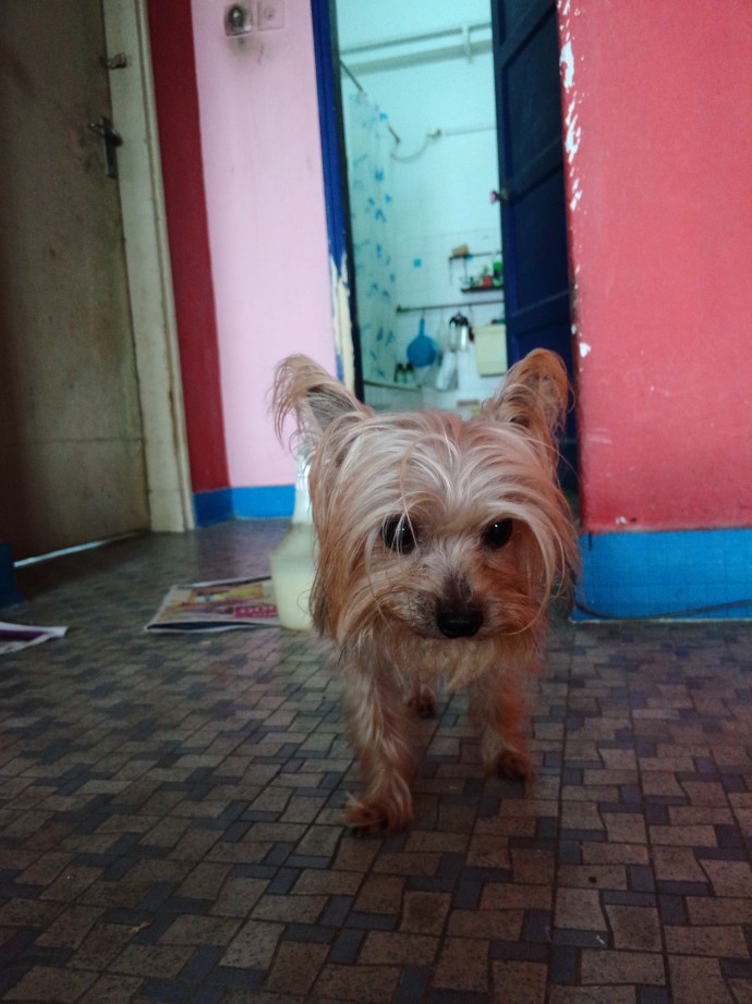 OPPO N1 Test Shots | SUPERADRIANME.com OPPO N1 Test Shots