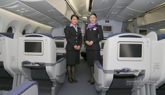 Ana air baggage deals