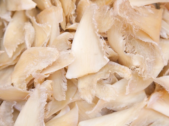 shutterstock_Shark Fin Ban | SUPERADRIANME.com shutterstock_Shark Fin Ban