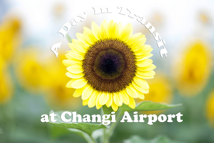 A Day In Transit At Changi Airport - Things To Do Before Boarding