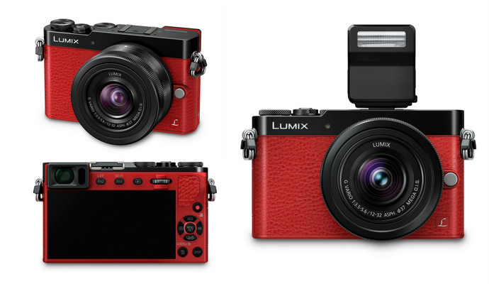 Panasonic LUMIX GM5 Now With LVF Singapore Price