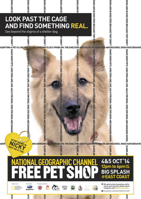 National Geographic Channel Free Pet Shop 2014