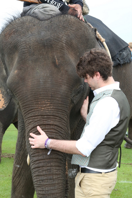 Zac and his Elephant Encounter
