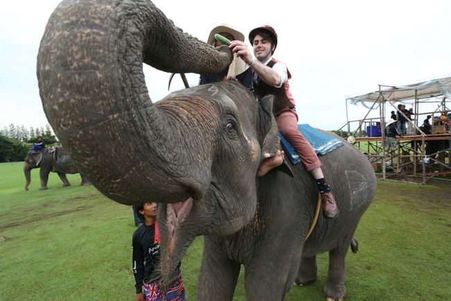 Zac feeds elephant with fresh cucumbers