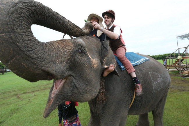 Zachary de Git, the brand ambassador for Reyka Vodka shares his elephant experience at the recent Kings Cup Elephant Polo Tournament in Bangkok