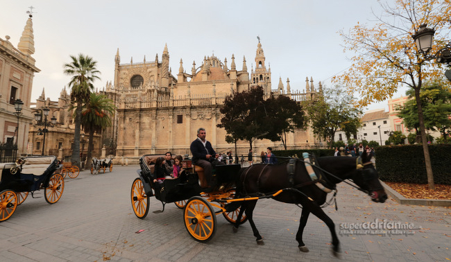 Insight Vacations - Seville, Spain