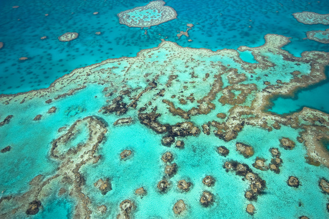 Great Barrier Reef in Cairns (Photo credit: Shutterstock)