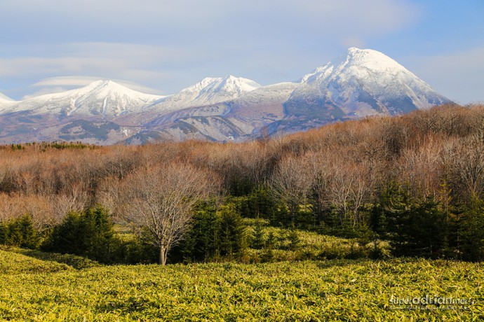 Travel Destination: Hokkaido So Beautiful, You Have To Visit All Four Seasons