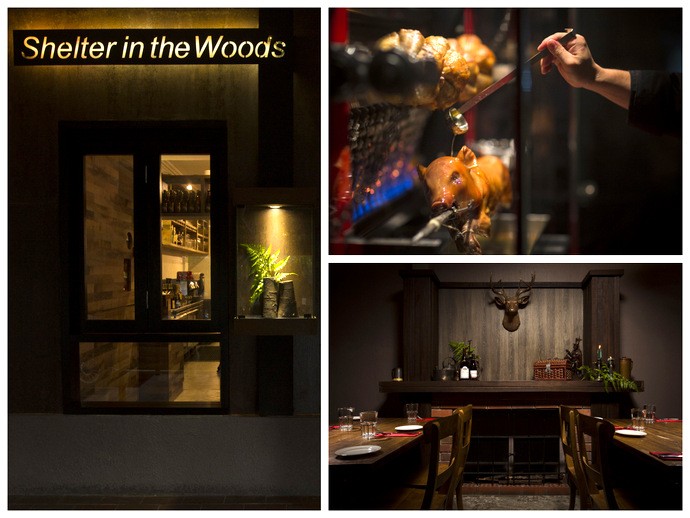 Shelter In The Woods Singapore Review