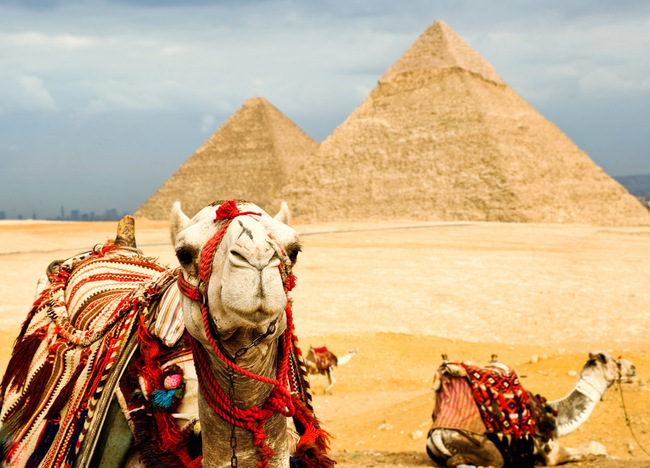 Insight Vacations returns to Egypt (Shutterstock Image)