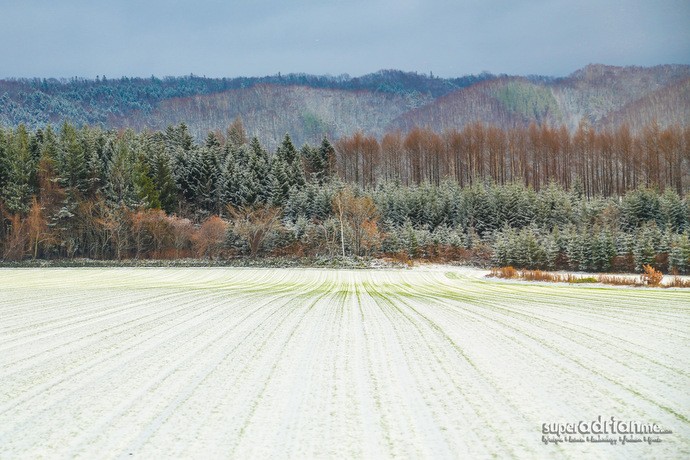 Travel Destination: Hokkaido So Beautiful, You Have To Visit All Four Seasons