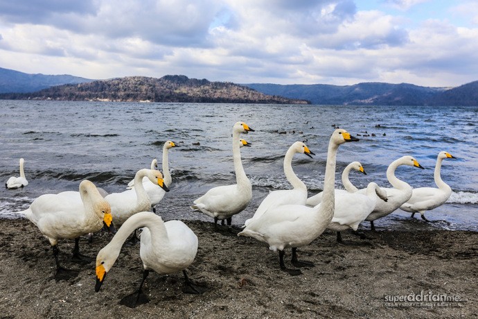 Travel Destination: Hokkaido So Beautiful, You Have To Visit All Four Seasons