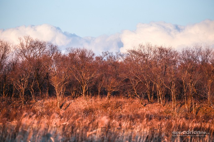 Travel Destination: Hokkaido So Beautiful, You Have To Visit All Four Seasons