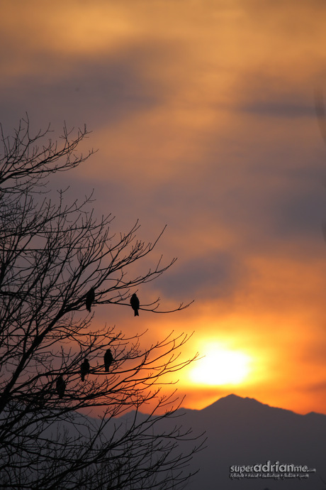 Travel Destination: Hokkaido So Beautiful, You Have To Visit All Four Seasons