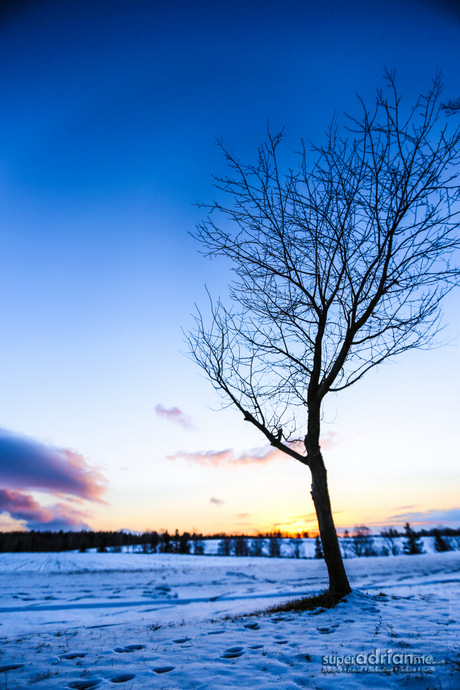 Travel Destination: Hokkaido So Beautiful, You Have To Visit All Four Seasons