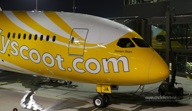 Scoot Dreamliner