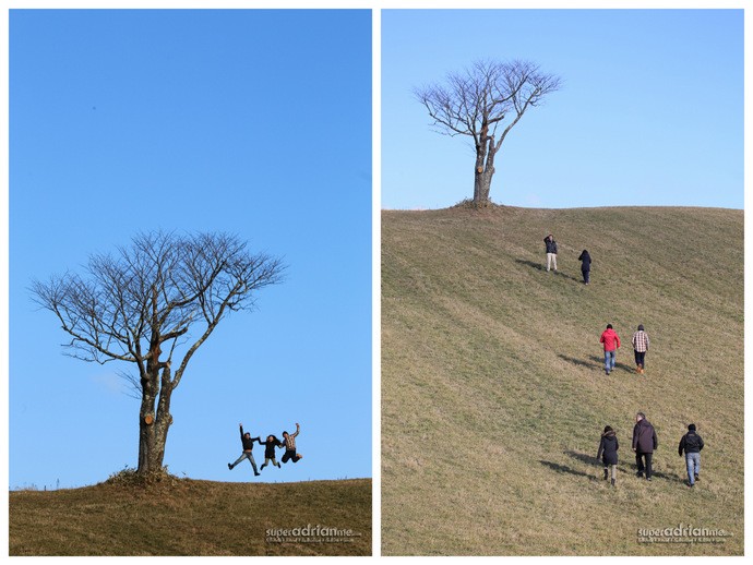 Travel Destination: Hokkaido So Beautiful, You Have To Visit All Four Seasons