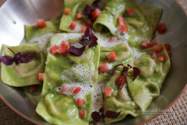 Waterfall Ristorante Italiano - Doppio Ravioli Alla Parmigiana 