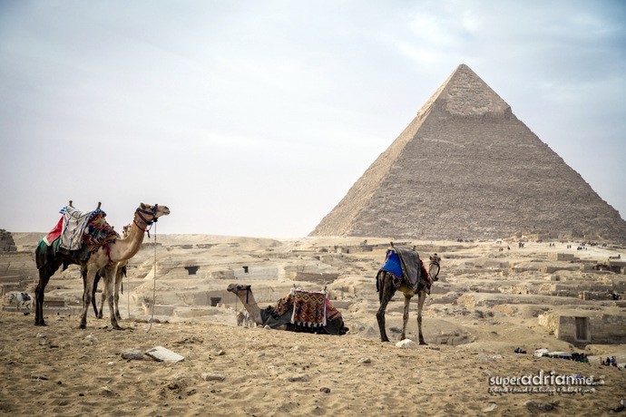 Insight Vacations - Wonders Of Egypt Review