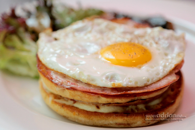 The Sleeping Rhino - Croque Madame S