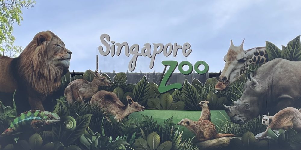 Singapore Zoo