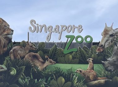 Singapore Zoo