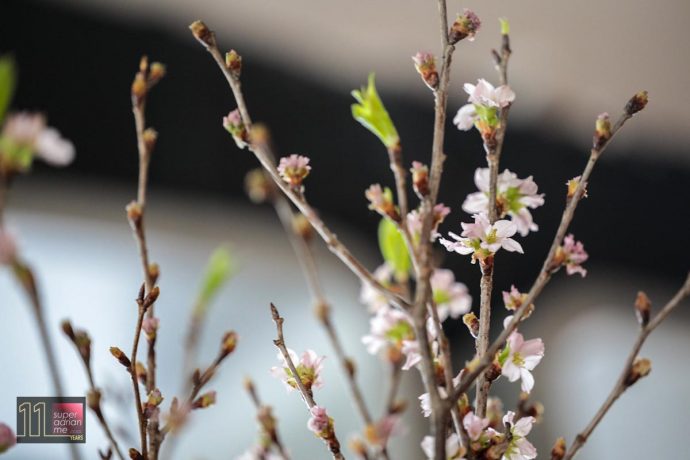 Fresh Sakura Flowers flown in from Nagoya weekly At 2am:dessertbar